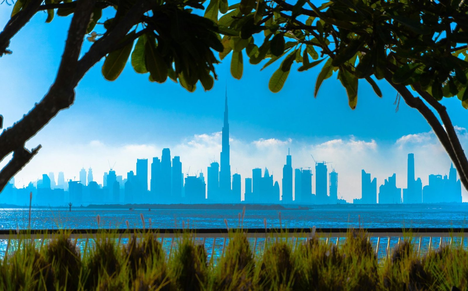 Dubai skyline with the Burj Khalifa centered, viewed across the water and framed by tree branches and greenery under a clear blue sky